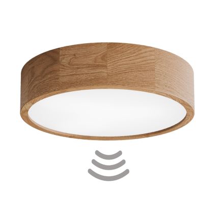 Taklampa med sensor CLEO 3xE27/24W/230V Ø 37,5 cm ek
