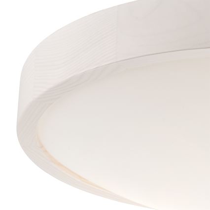 Taklampa MEDA 2xE27/60W/230V tall