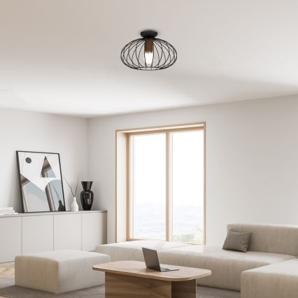 Taklampa  MERIDIANO 1xE27/60W/230V