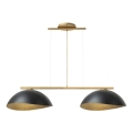 Taklampa på kabel SOLAR 2xE27/60W/230V guld