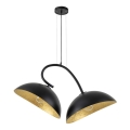 Taklampa på kabel SPACE 2xE27/60W/230V svart/guld