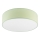 Taklampa SIRJA PASTEL DOUBLE 4xE27/15W/230V diameter 45 cm grön