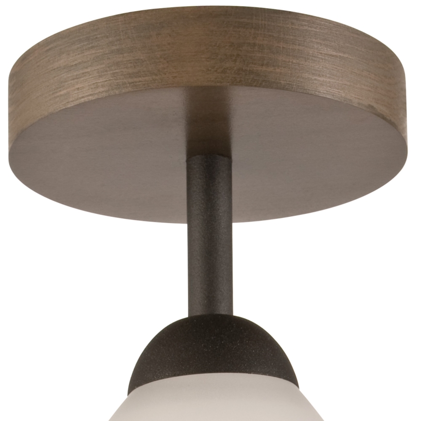 Takmonterad taklampa ADRIANO 1xE27/60W/230V bok
