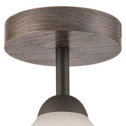 Takmonterad taklampa ADRIANO 1xE27/60W/230V bok