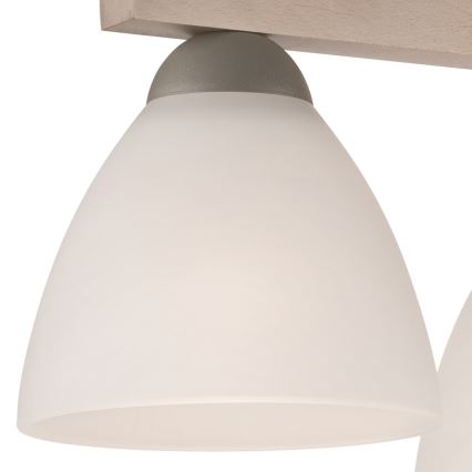 Takmonterad taklampa ADRIANO 3xE27/60W/230V bok