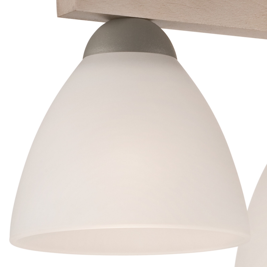 Takmonterad taklampa ADRIANO 3xE27/60W/230V bok