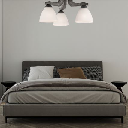 Takmonterad taklampa ADRIANO 3xE27/60W/230V bok