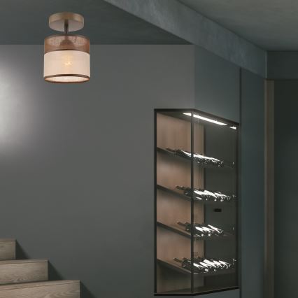 Takmonterad taklampa ANDREA 1xE27/60W/230V bok