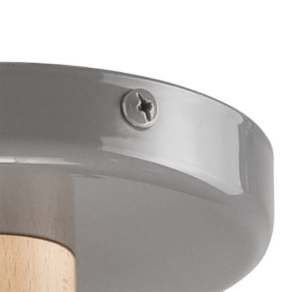 Takmonterad taklampa ELLIE 5xE27/60W/230V grå/bok