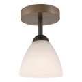 Takmonterad taklampa ADRIANO 1xE27/60W/230V bok