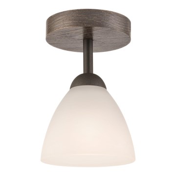 Takmonterad taklampa ADRIANO 1xE27/60W/230V bok