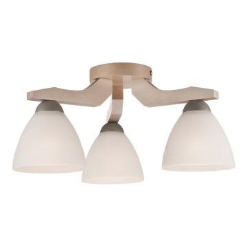 Takmonterad taklampa ADRIANO 3xE27/60W/230V bok