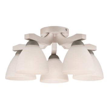 Takmonterad taklampa ADRIANO 5xE27/60W/230V bok