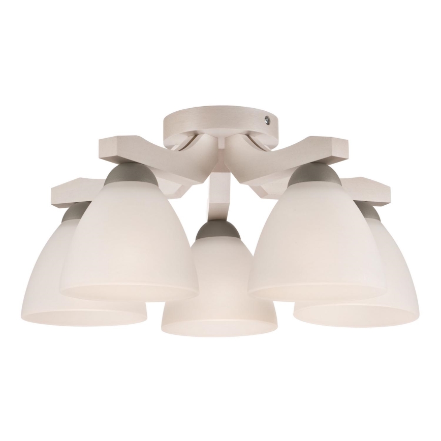 Takmonterad taklampa ADRIANO 5xE27/60W/230V bok