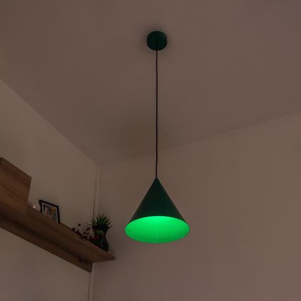 Takpendel ETNA II med sladd, 1x E27/15W/230V, Ø 25 cm, grön