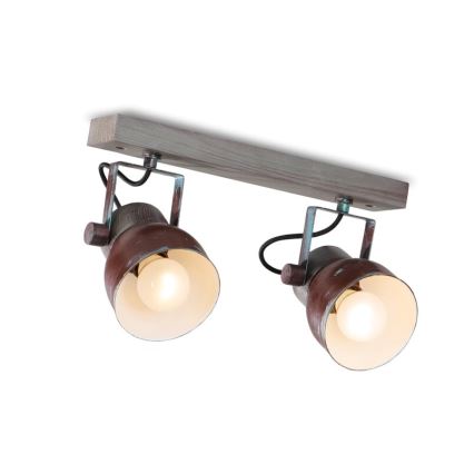 Takpotlight VIANA 2xE27/60W/230V