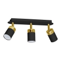 Takspot JOKER 3xGU10/25W/230V svart/guld