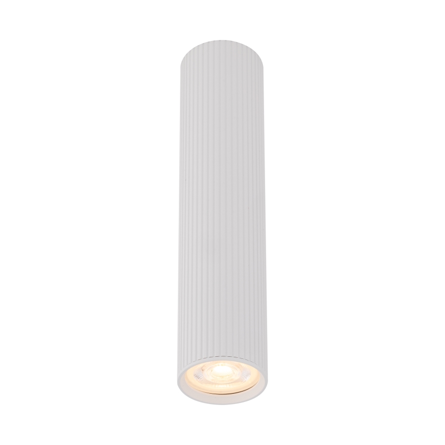 Takspot TUNE L 1xGU10/10W/230V 24 cm vit