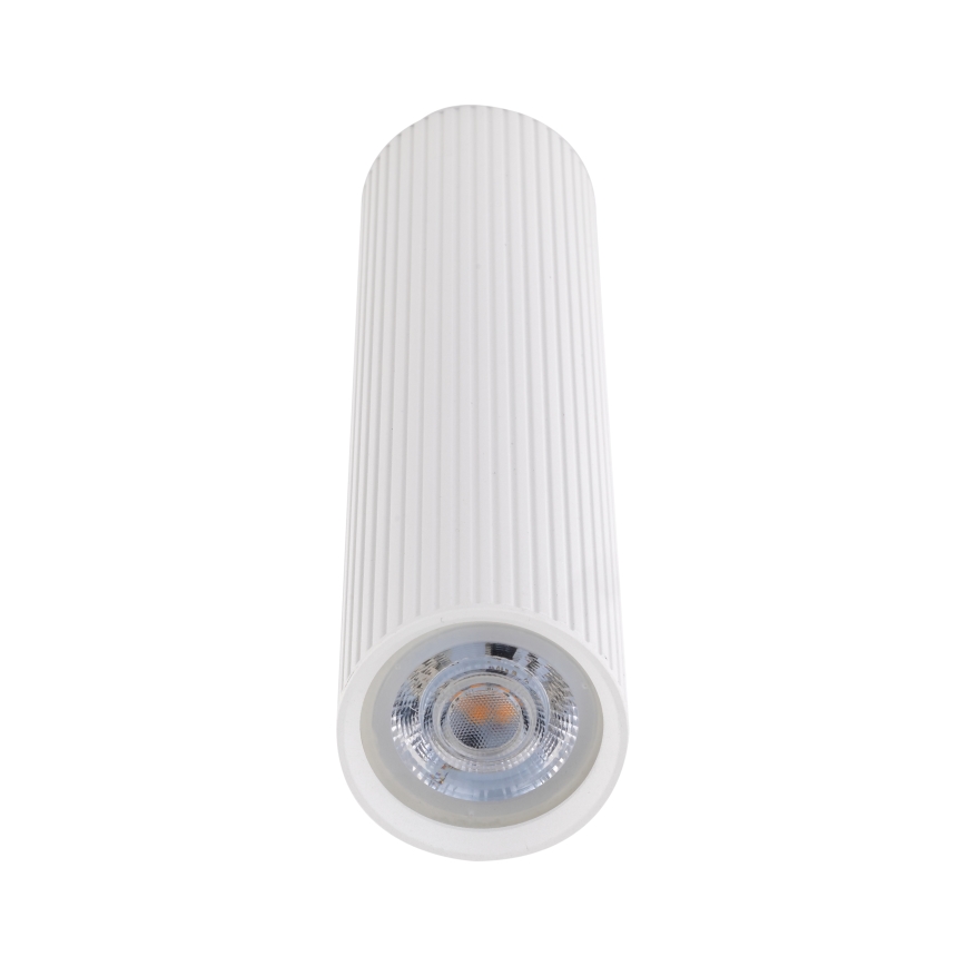 Takspot TUNE L 1xGU10/10W/230V 24 cm vit