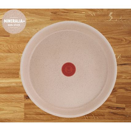 Tefal - 6-delars kokkärlset INGENIO DELIGHT
