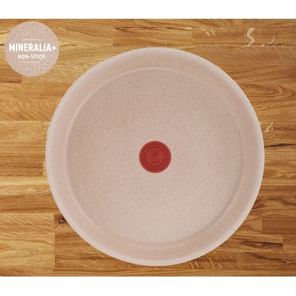 Tefal - 8-delars kokkärlset INGENIO DELIGHT