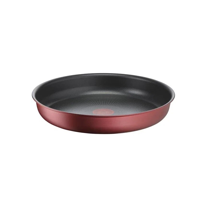 Tefal - Set med 10 delar INGENIO DAILY CHEF kopparfärgad