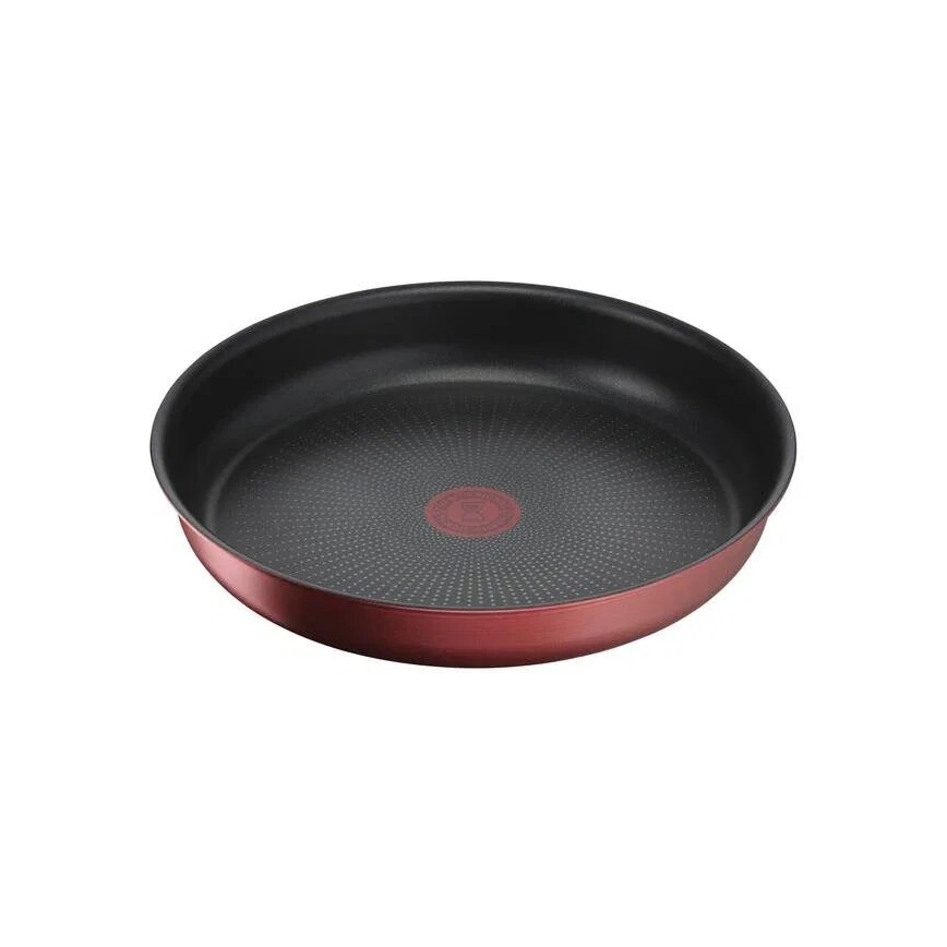 Tefal - Set med 10 delar INGENIO DAILY CHEF kopparfärgad