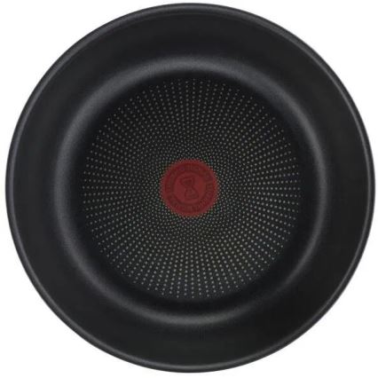 Tefal - Set med 10 delar INGENIO DAILY CHEF kopparfärgad