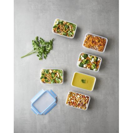 Tefal - KIT 6x Matlåda 0,8 l MASTER SEAL FRESH blå