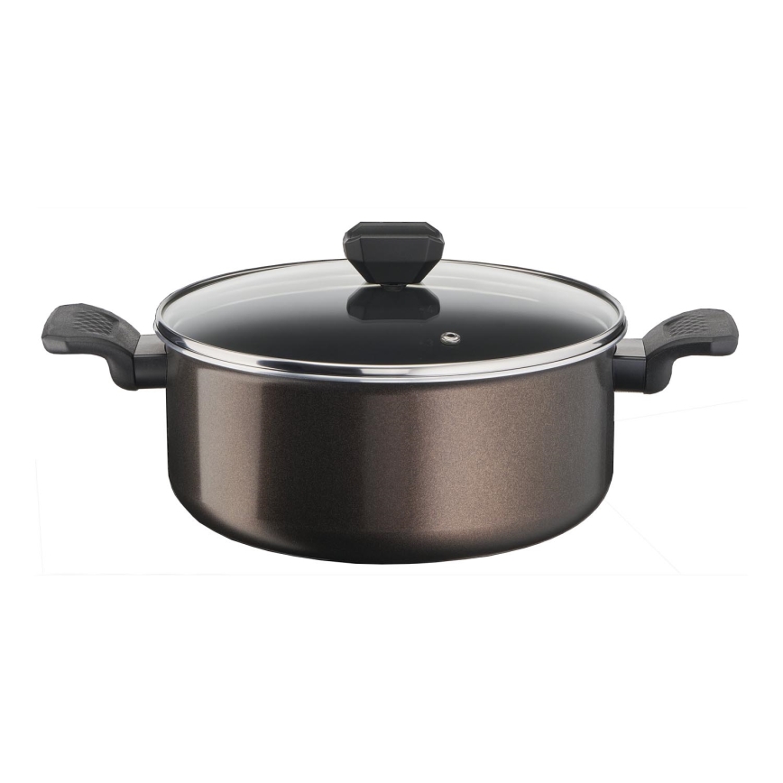 Tefal - Kruka med lock EASY COOK & CLEAN 24 cm