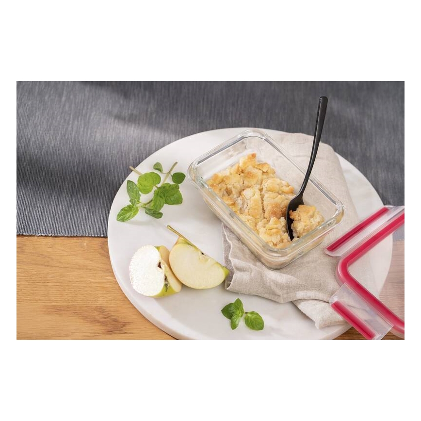 Tefal - Matlåda 0,45 l MSEAL GLASS röd/glas