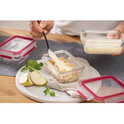 Tefal - Matlåda 0,45 l MSEAL GLASS röd/glas