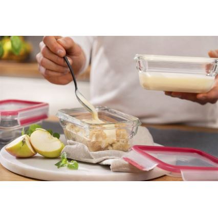Tefal - Matlåda 0,45 l MSEAL GLASS röd/glas