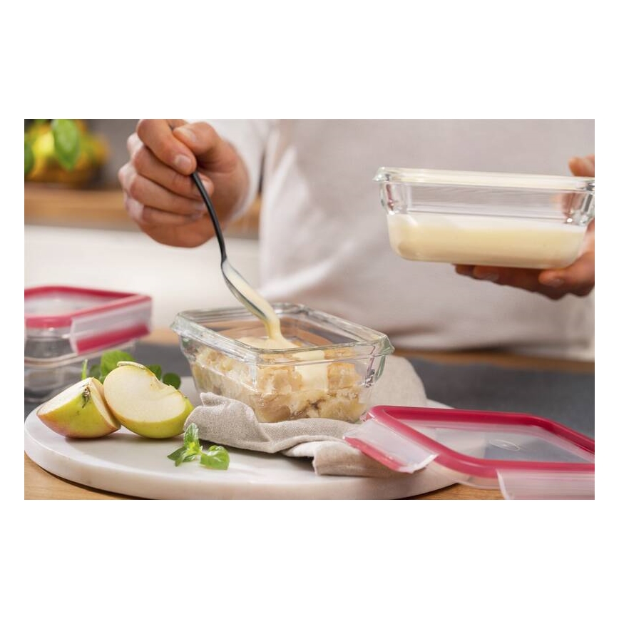 Tefal - Matlåda 0,45 l MSEAL GLASS röd/glas