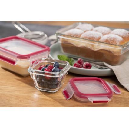 Tefal - Matlåda 0,45 l MSEAL GLASS röd/glas