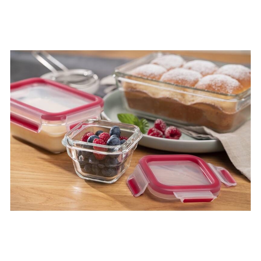 Tefal - Matlåda 0,45 l MSEAL GLASS röd/glas