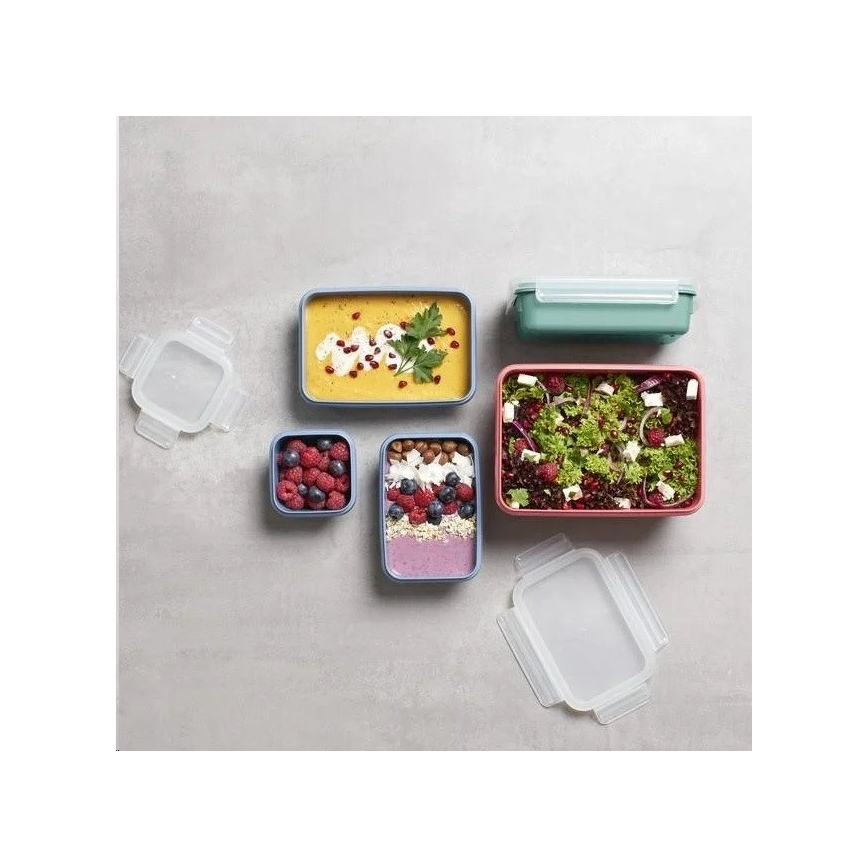 Tefal - Matlåda 0,55 l MSEAL COLOR rosa