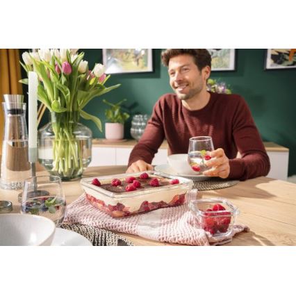 Tefal - Matlåda 3 l MSEAL GLASS röd/glas