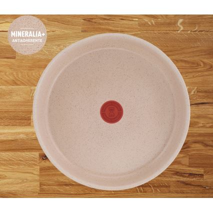 Tefal - Set med 3 stekpannor INGENIO DELIGHT