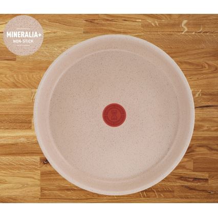 Tefal - Set med kökskärl, 6 delar INGENIO DELIGHT