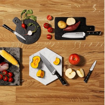 Tefal - Set med köksknivar i ett stativ ICE FORCE 6 delar