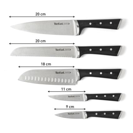 Tefal - Set med köksknivar i ett stativ ICE FORCE 6 delar
