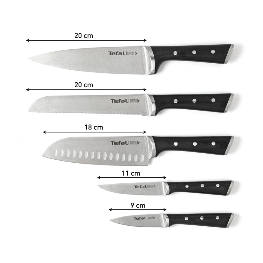 Tefal - Set med köksknivar i ett stativ ICE FORCE 6 delar