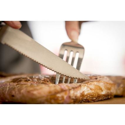 Tefal - Set med 4 rostfria stekknivar ICE FORCE 11 cm, polerad krom/svart