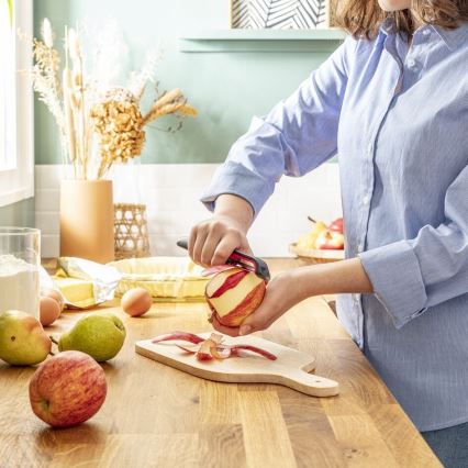 Tefal - Skalare för kök INGENIO rostfri/svart