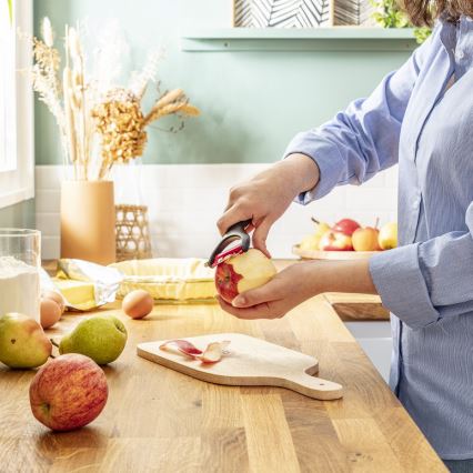 Tefal - Skalare för kök INGENIO rostfri/svart