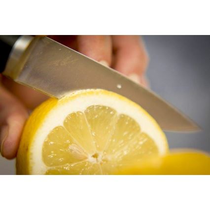 Tefal - Skärkniv i rostfritt stål ICE FORCE 9 cm skinande krom/svart