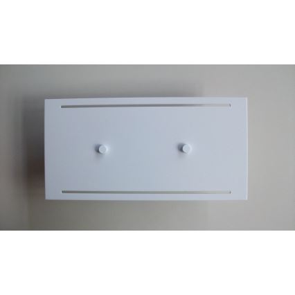Telefunken 307806TF - LED vägglampa för utomhusbruk 2xLED/3,5W/230V IP44 vit