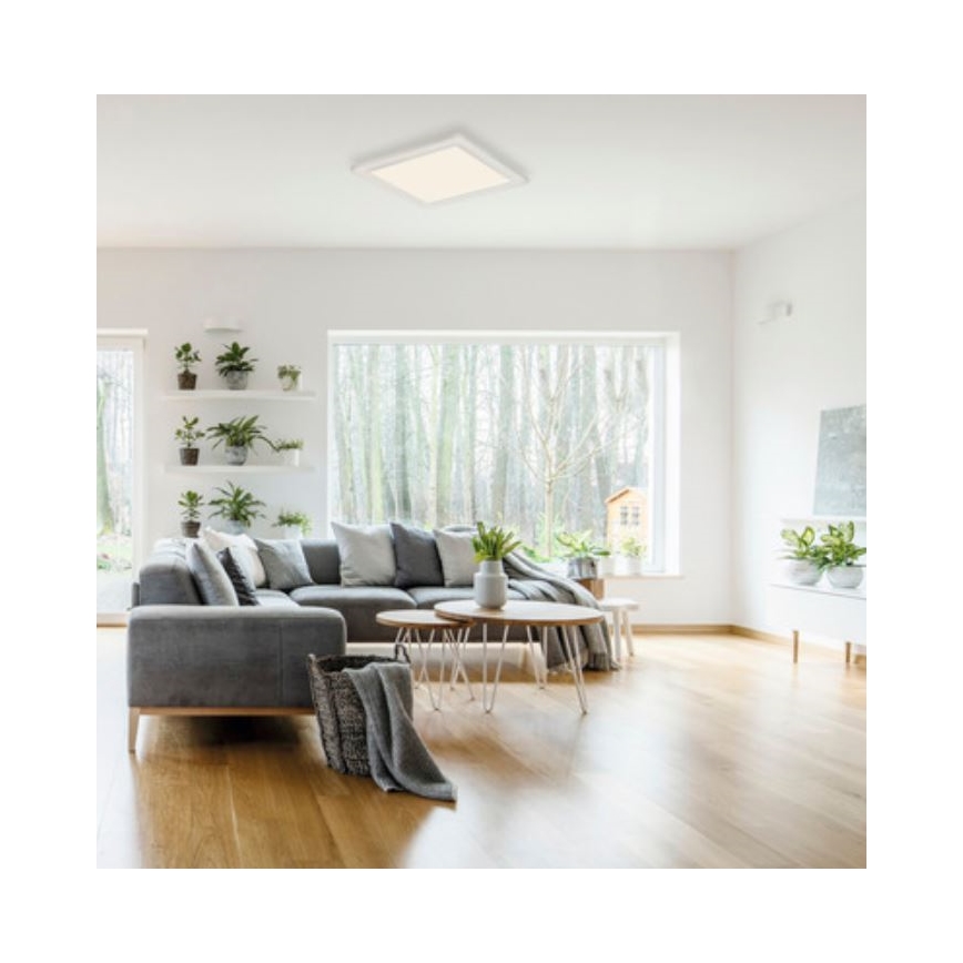 Telefunken 308606TF - LED fäst panel med sensor LED/13W/230V