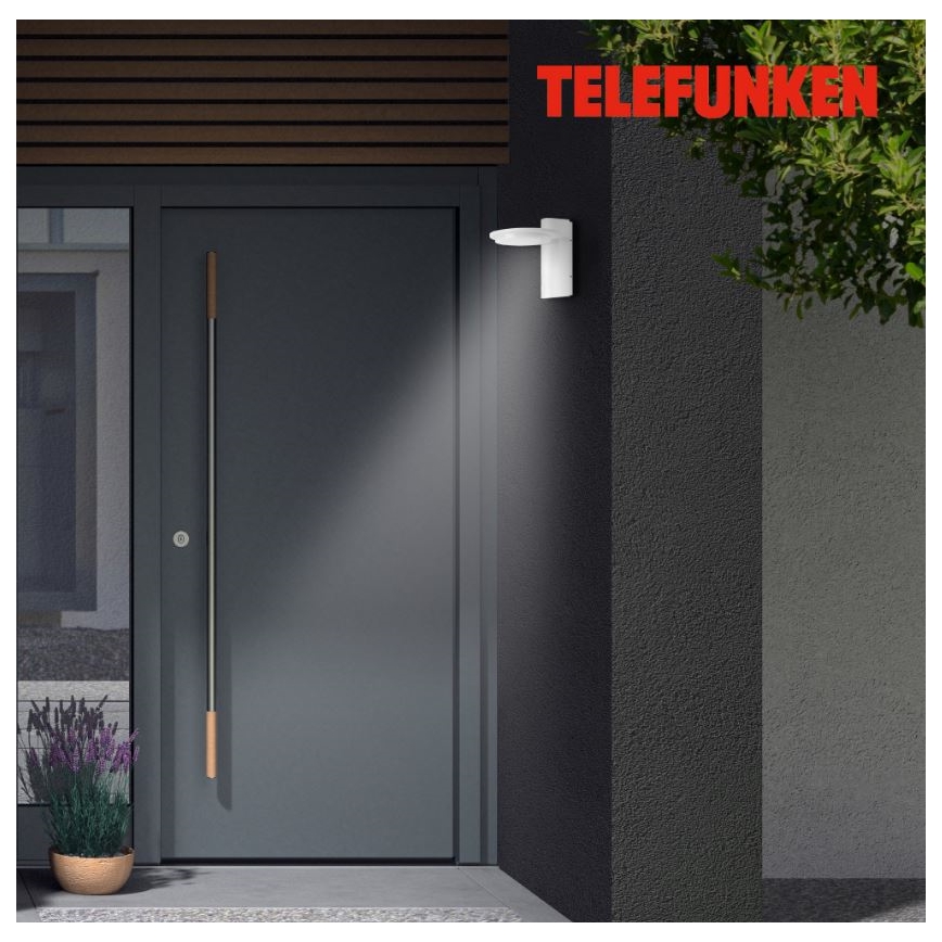 Telefunken 312406TF - LED vägglampa för utomhusbruk LED/10W/230V IP44